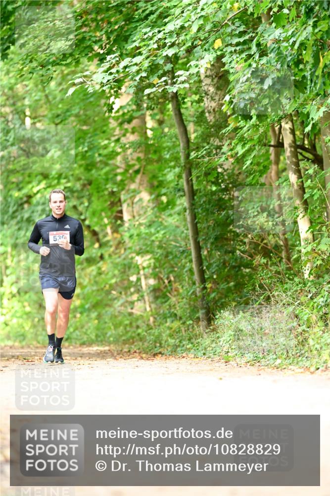 11.10.2026 - Bramfelder Halbmarathon 2026 Dr. Thomas Lammeyer http://msf.ph/oto/10828829 11.10.2026 11:08:25 Laufen 5, 30 meine-sportfotos.de