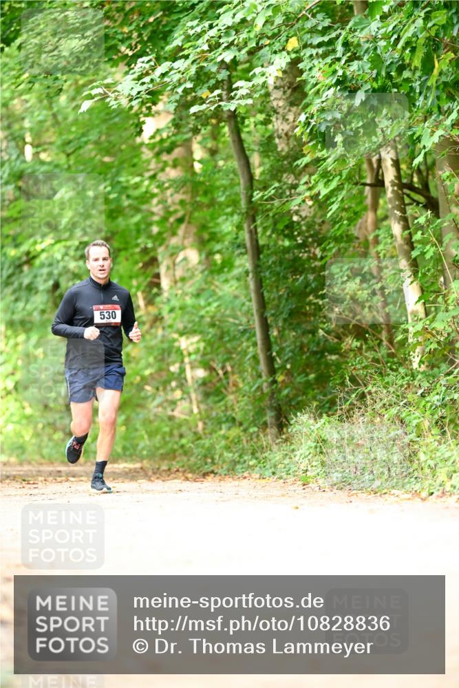 11.10.2026 - Bramfelder Halbmarathon 2026 Dr. Thomas Lammeyer http://msf.ph/oto/10828836 11.10.2026 11:08:26 Laufen 530 meine-sportfotos.de