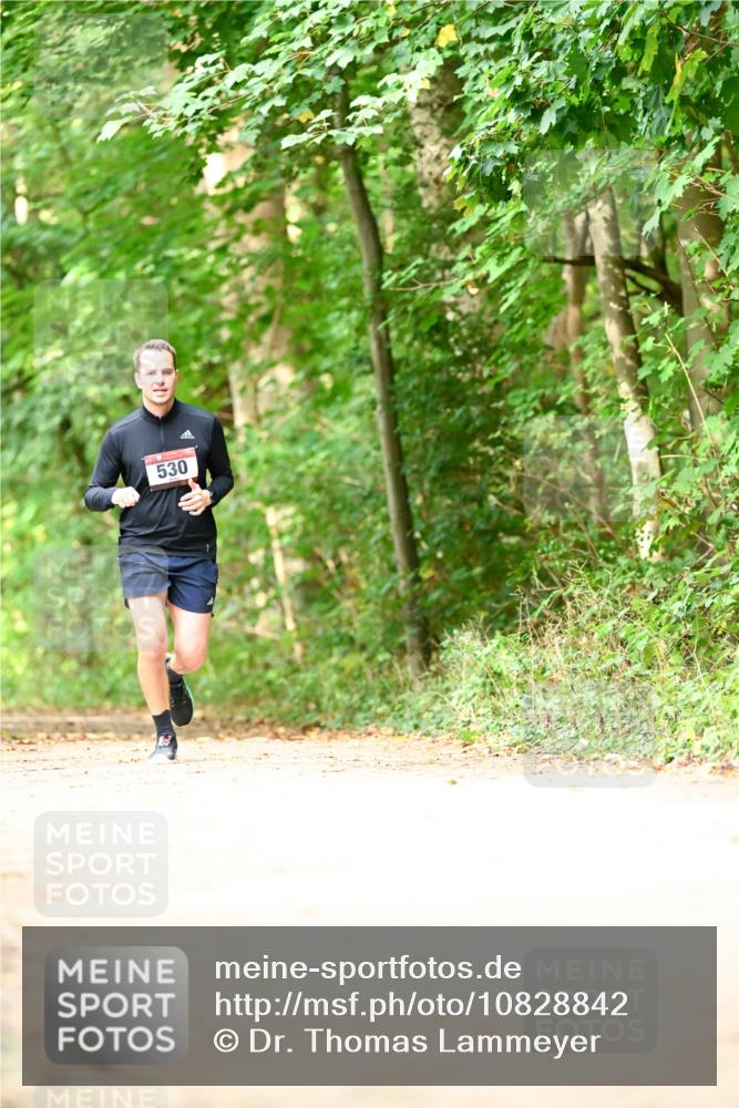 11.10.2026 - Bramfelder Halbmarathon 2026 Dr. Thomas Lammeyer http://msf.ph/oto/10828842 11.10.2026 11:08:26 Laufen 530 meine-sportfotos.de