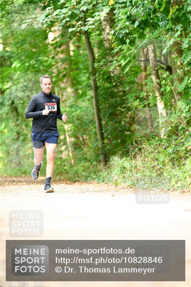 11.10.2026 - Bramfelder Halbmarathon 2026 Dr. Thomas Lammeyer http://msf.ph/oto/10828846 11.10.2026 11:08:27 Laufen 530 meine-sportfotos.de