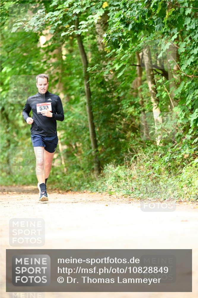 11.10.2026 - Bramfelder Halbmarathon 2026 Dr. Thomas Lammeyer http://msf.ph/oto/10828849 11.10.2026 11:08:27 Laufen 530 meine-sportfotos.de