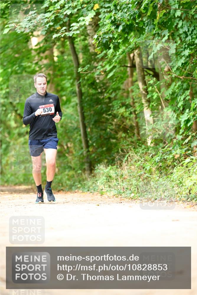 11.10.2026 - Bramfelder Halbmarathon 2026 Dr. Thomas Lammeyer http://msf.ph/oto/10828853 11.10.2026 11:08:27 Laufen 530 meine-sportfotos.de
