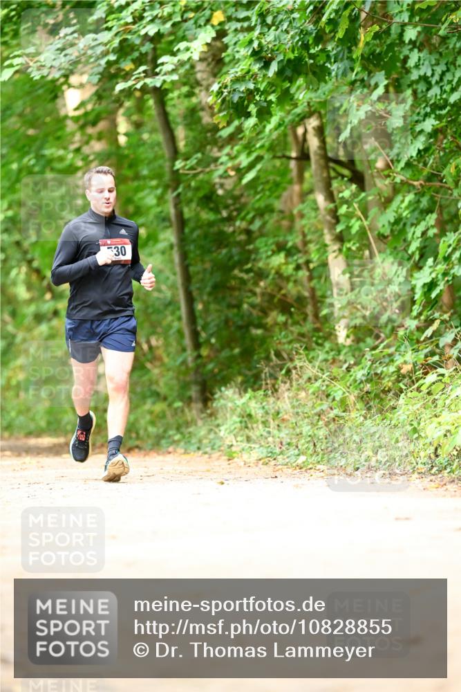 11.10.2026 - Bramfelder Halbmarathon 2026 Dr. Thomas Lammeyer http://msf.ph/oto/10828855 11.10.2026 11:08:27 Laufen 30 meine-sportfotos.de