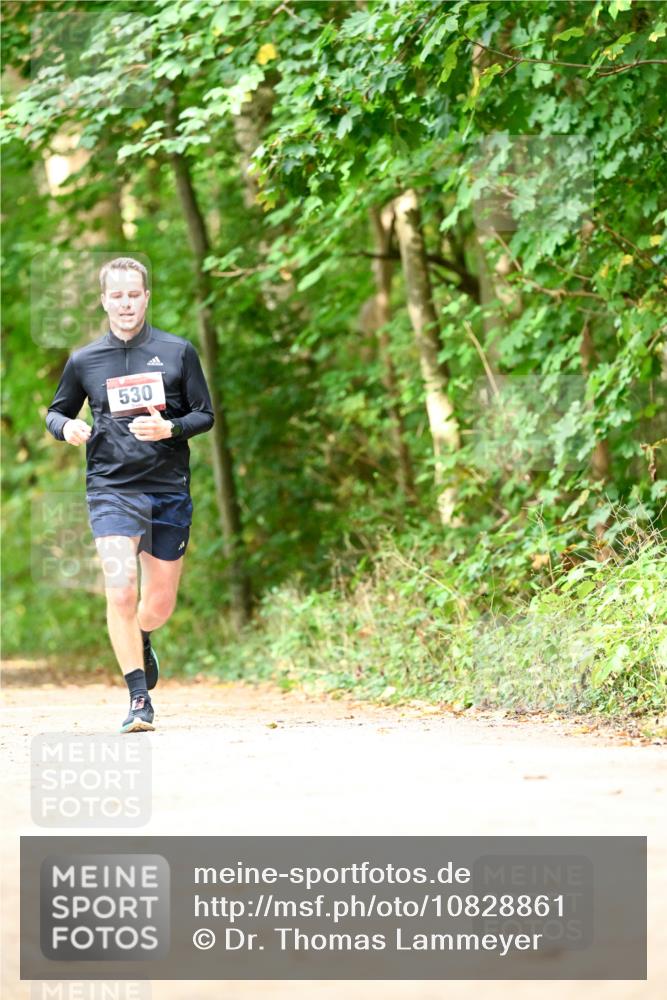 11.10.2026 - Bramfelder Halbmarathon 2026 Dr. Thomas Lammeyer http://msf.ph/oto/10828861 11.10.2026 11:08:28 Laufen 530 meine-sportfotos.de
