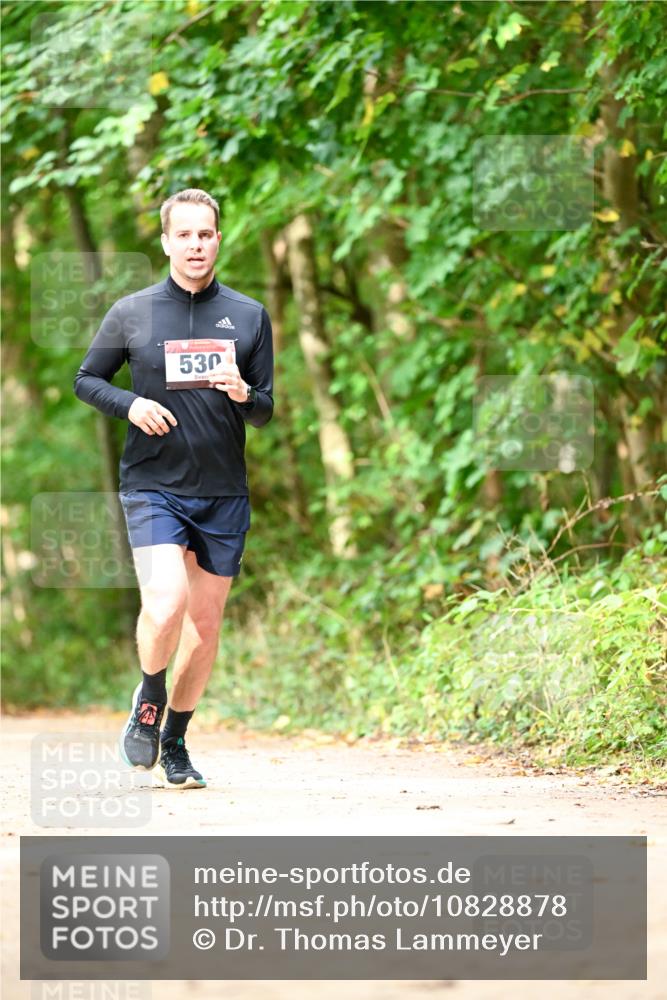 11.10.2026 - Bramfelder Halbmarathon 2026 Dr. Thomas Lammeyer http://msf.ph/oto/10828878 11.10.2026 11:08:29 Laufen 530 meine-sportfotos.de