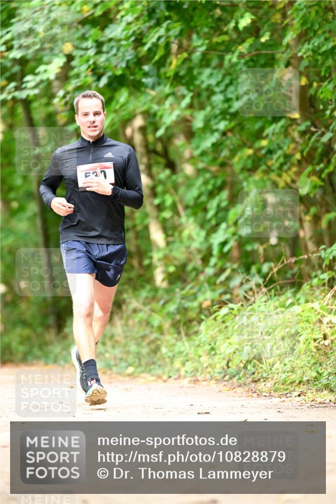 11.10.2026 - Bramfelder Halbmarathon 2026 Dr. Thomas Lammeyer http://msf.ph/oto/10828879 11.10.2026 11:08:29 Laufen 537 meine-sportfotos.de