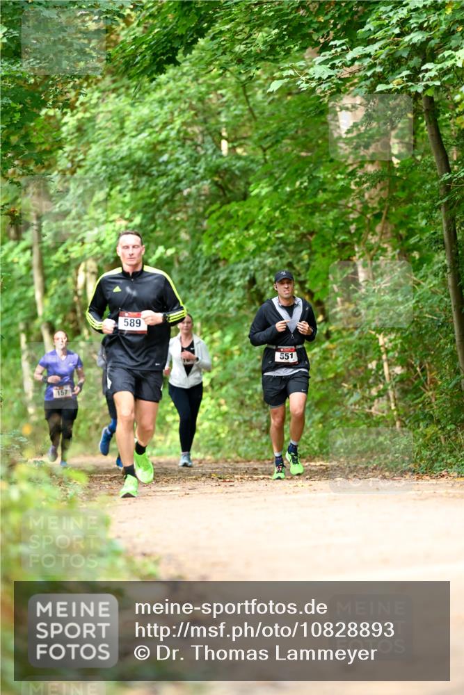 11.10.2026 - Bramfelder Halbmarathon 2026 Dr. Thomas Lammeyer http://msf.ph/oto/10828893 11.10.2026 11:08:33 Laufen 157, 589, 551 meine-sportfotos.de