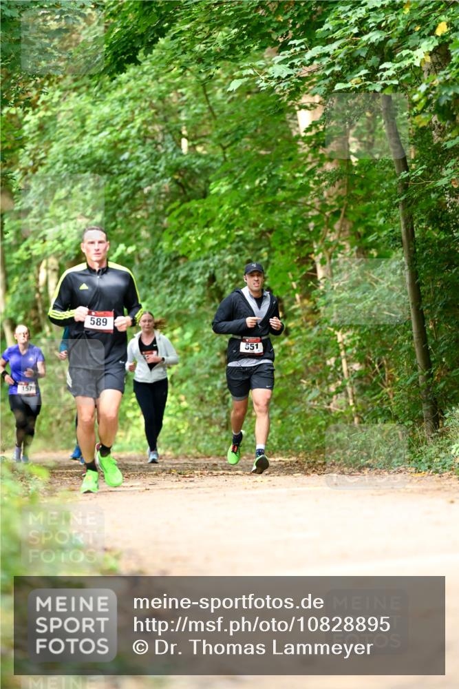 11.10.2026 - Bramfelder Halbmarathon 2026 Dr. Thomas Lammeyer http://msf.ph/oto/10828895 11.10.2026 11:08:33 Laufen 157, 589, 551 meine-sportfotos.de