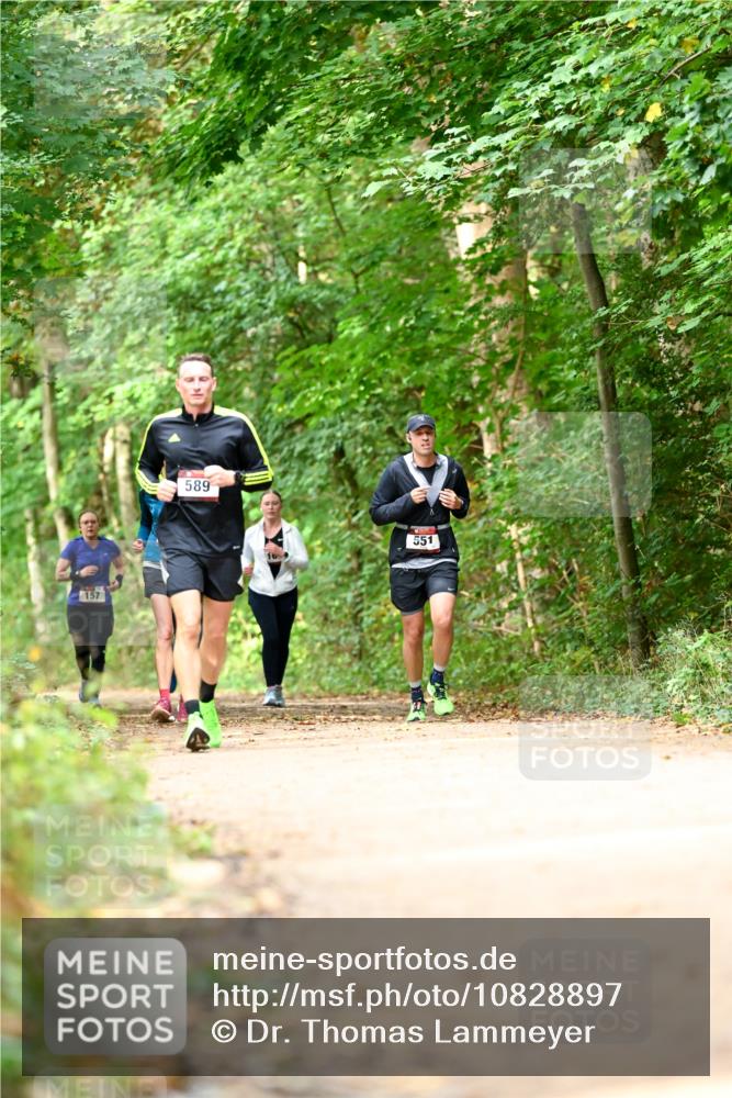11.10.2026 - Bramfelder Halbmarathon 2026 Dr. Thomas Lammeyer http://msf.ph/oto/10828897 11.10.2026 11:08:33 Laufen 157, 589, 551 meine-sportfotos.de