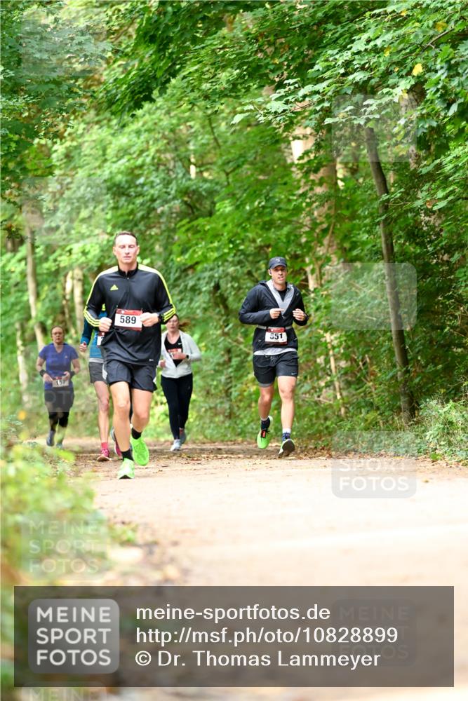 11.10.2026 - Bramfelder Halbmarathon 2026 Dr. Thomas Lammeyer http://msf.ph/oto/10828899 11.10.2026 11:08:33 Laufen 157, 589, 551 meine-sportfotos.de