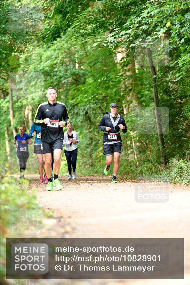 11.10.2026 - Bramfelder Halbmarathon 2026 Dr. Thomas Lammeyer http://msf.ph/oto/10828901 11.10.2026 11:08:34 Laufen 157, 20, 589, 551 meine-sportfotos.de
