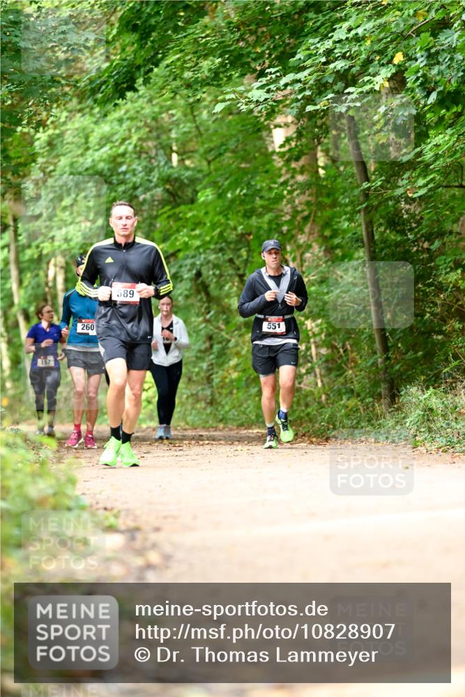 11.10.2026 - Bramfelder Halbmarathon 2026 Dr. Thomas Lammeyer http://msf.ph/oto/10828907 11.10.2026 11:08:34 Laufen 157, 260, 589, 551 meine-sportfotos.de