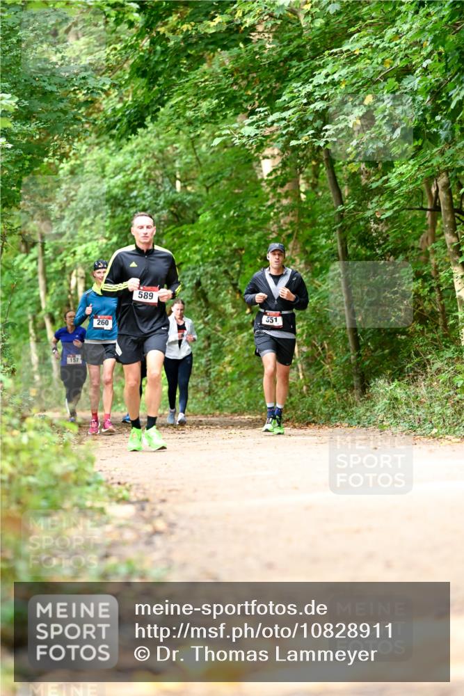 11.10.2026 - Bramfelder Halbmarathon 2026 Dr. Thomas Lammeyer http://msf.ph/oto/10828911 11.10.2026 11:08:34 Laufen 157, 260, 589, 551 meine-sportfotos.de