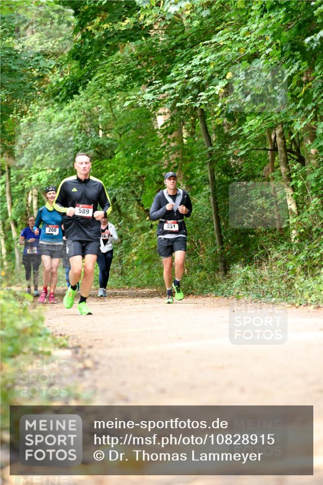 11.10.2026 - Bramfelder Halbmarathon 2026 Dr. Thomas Lammeyer http://msf.ph/oto/10828915 11.10.2026 11:08:35 Laufen 157, 260, 589, 16, 551 meine-sportfotos.de
