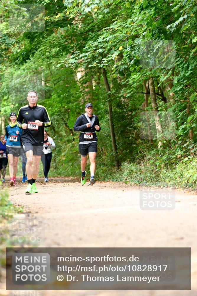 11.10.2026 - Bramfelder Halbmarathon 2026 Dr. Thomas Lammeyer http://msf.ph/oto/10828917 11.10.2026 11:08:35 Laufen 157, 260, 589, 16, 551 meine-sportfotos.de
