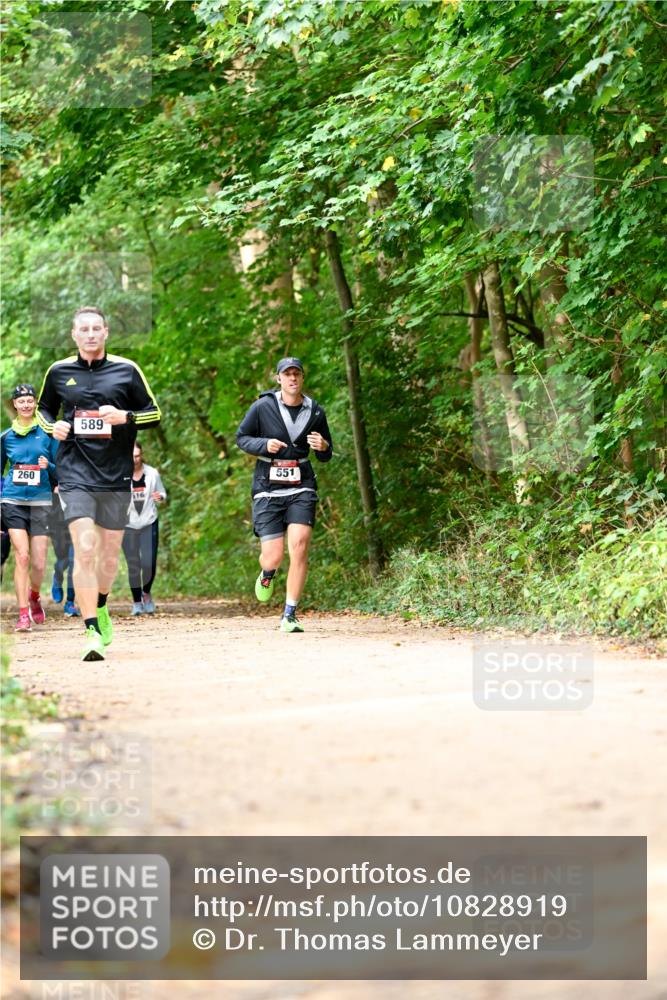 11.10.2026 - Bramfelder Halbmarathon 2026 Dr. Thomas Lammeyer http://msf.ph/oto/10828919 11.10.2026 11:08:35 Laufen 589, 260, 16, 551 meine-sportfotos.de