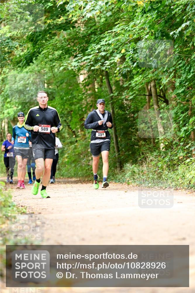 11.10.2026 - Bramfelder Halbmarathon 2026 Dr. Thomas Lammeyer http://msf.ph/oto/10828926 11.10.2026 11:08:35 Laufen 157, 260, 589, 551 meine-sportfotos.de