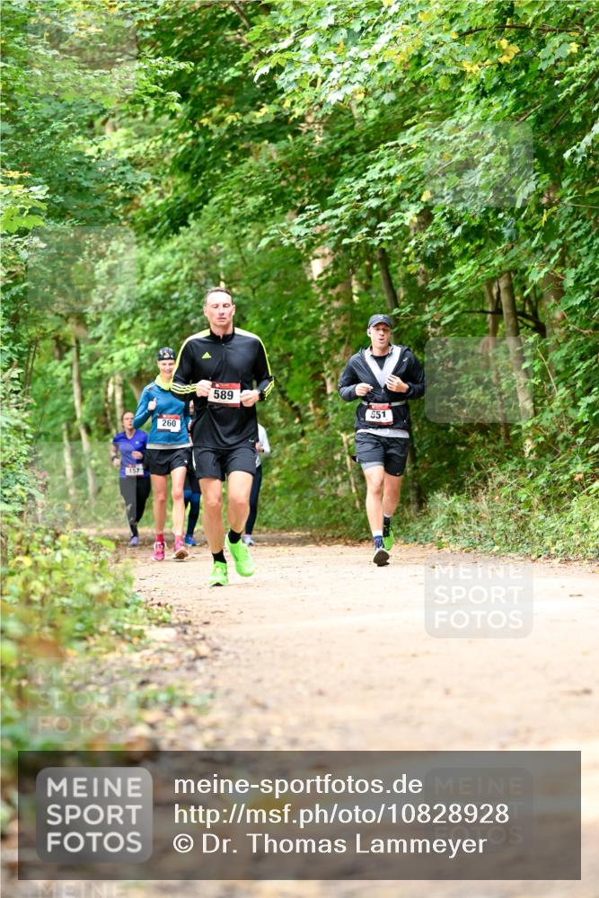 11.10.2026 - Bramfelder Halbmarathon 2026 Dr. Thomas Lammeyer http://msf.ph/oto/10828928 11.10.2026 11:08:36 Laufen 157, 260, 589, 551 meine-sportfotos.de