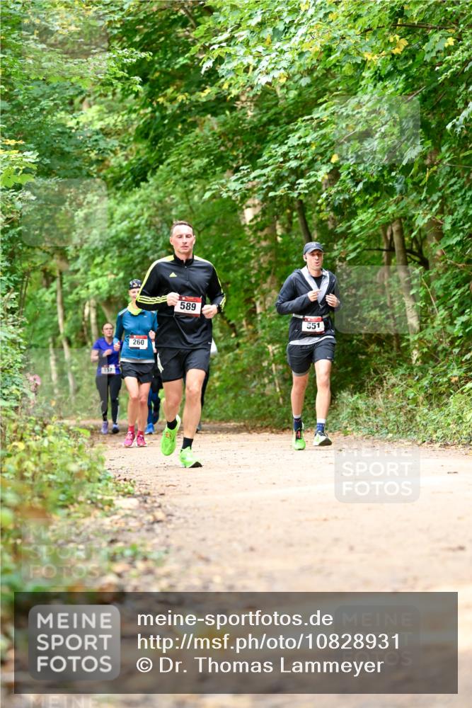 11.10.2026 - Bramfelder Halbmarathon 2026 Dr. Thomas Lammeyer http://msf.ph/oto/10828931 11.10.2026 11:08:36 Laufen 157, 260, 589, 551 meine-sportfotos.de