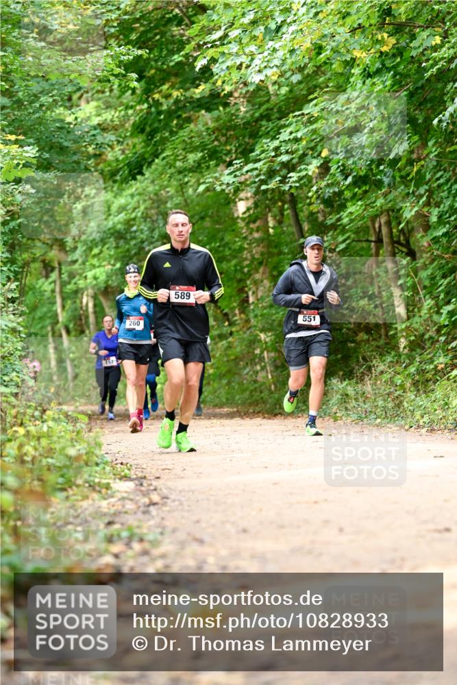 11.10.2026 - Bramfelder Halbmarathon 2026 Dr. Thomas Lammeyer http://msf.ph/oto/10828933 11.10.2026 11:08:36 Laufen 157, 260, 589, 551 meine-sportfotos.de