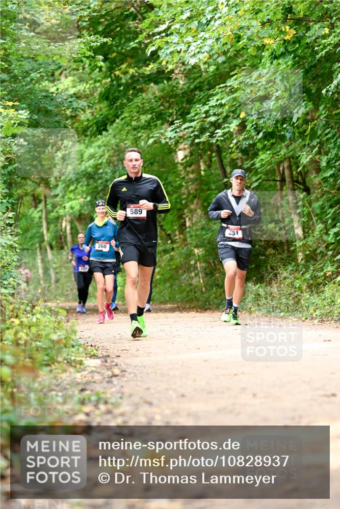 11.10.2026 - Bramfelder Halbmarathon 2026 Dr. Thomas Lammeyer http://msf.ph/oto/10828937 11.10.2026 11:08:36 Laufen 157, 260, 589, 551 meine-sportfotos.de