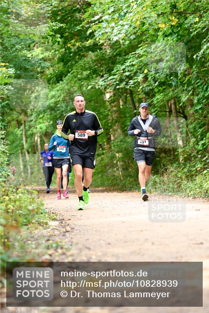11.10.2026 - Bramfelder Halbmarathon 2026 Dr. Thomas Lammeyer http://msf.ph/oto/10828939 11.10.2026 11:08:37 Laufen 157, 260, 589, 551 meine-sportfotos.de