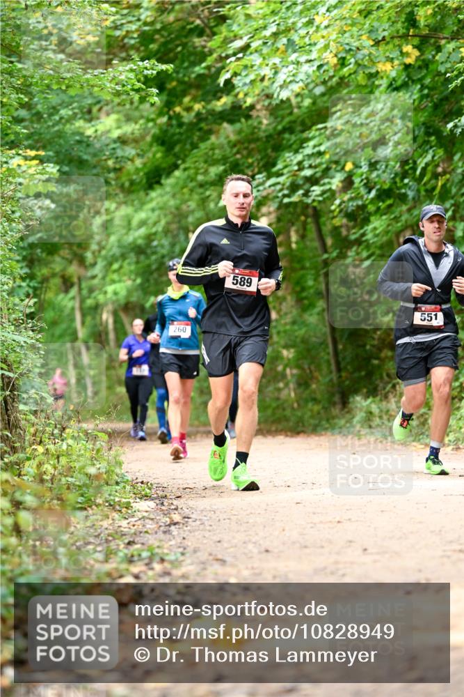 11.10.2026 - Bramfelder Halbmarathon 2026 Dr. Thomas Lammeyer http://msf.ph/oto/10828949 11.10.2026 11:08:38 Laufen 260, 589, 551 meine-sportfotos.de