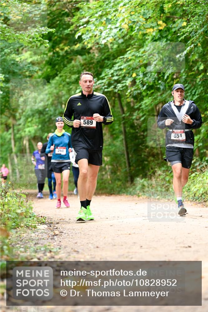 11.10.2026 - Bramfelder Halbmarathon 2026 Dr. Thomas Lammeyer http://msf.ph/oto/10828952 11.10.2026 11:08:38 Laufen 260, 589, 551, 42 meine-sportfotos.de