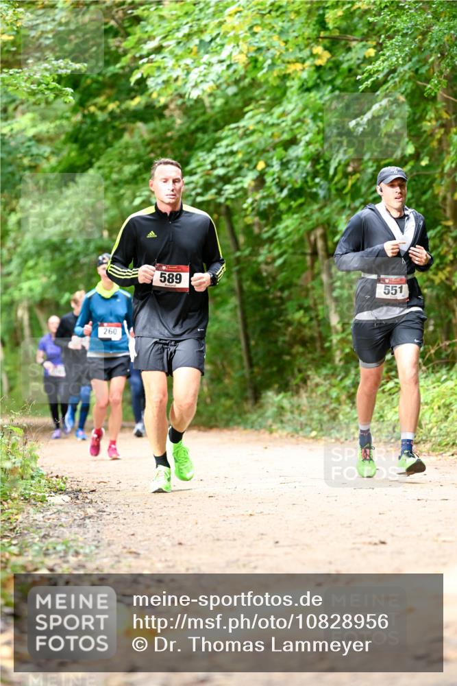 11.10.2026 - Bramfelder Halbmarathon 2026 Dr. Thomas Lammeyer http://msf.ph/oto/10828956 11.10.2026 11:08:38 Laufen 260, 589, 551 meine-sportfotos.de
