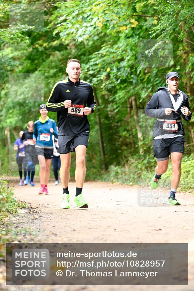 11.10.2026 - Bramfelder Halbmarathon 2026 Dr. Thomas Lammeyer http://msf.ph/oto/10828957 11.10.2026 11:08:38 Laufen 260, 589, 551 meine-sportfotos.de