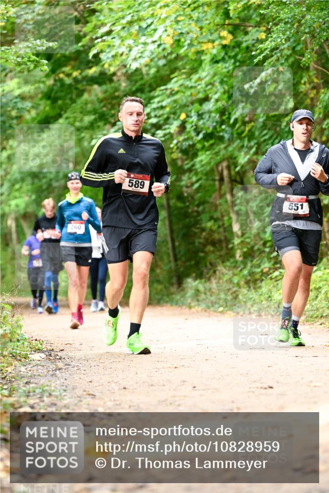 11.10.2026 - Bramfelder Halbmarathon 2026 Dr. Thomas Lammeyer http://msf.ph/oto/10828959 11.10.2026 11:08:38 Laufen 669, 260, 589, 551 meine-sportfotos.de