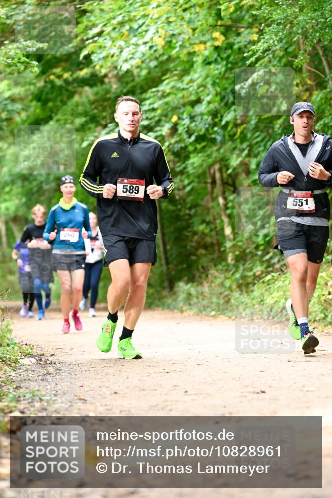 11.10.2026 - Bramfelder Halbmarathon 2026 Dr. Thomas Lammeyer http://msf.ph/oto/10828961 11.10.2026 11:08:39 Laufen 56, 260, 589, 551, 42 meine-sportfotos.de