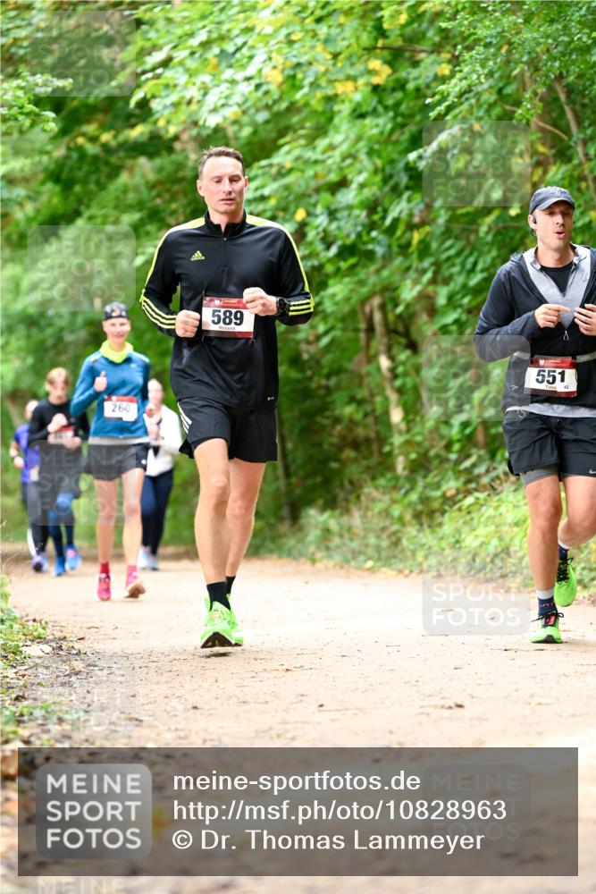 11.10.2026 - Bramfelder Halbmarathon 2026 Dr. Thomas Lammeyer http://msf.ph/oto/10828963 11.10.2026 11:08:39 Laufen 68, 260, 589, 551, 42 meine-sportfotos.de