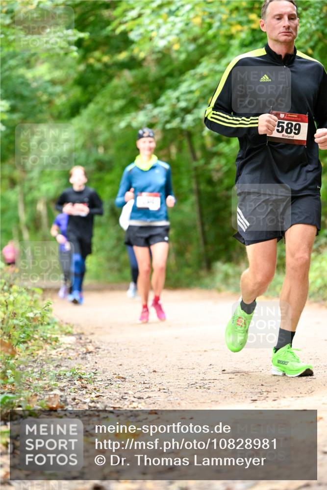 11.10.2026 - Bramfelder Halbmarathon 2026 Dr. Thomas Lammeyer http://msf.ph/oto/10828981 11.10.2026 11:08:40 Laufen 589 meine-sportfotos.de