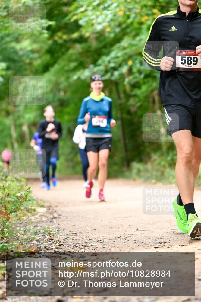11.10.2026 - Bramfelder Halbmarathon 2026 Dr. Thomas Lammeyer http://msf.ph/oto/10828984 11.10.2026 11:08:40 Laufen 589 meine-sportfotos.de