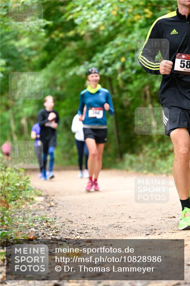 11.10.2026 - Bramfelder Halbmarathon 2026 Dr. Thomas Lammeyer http://msf.ph/oto/10828986 11.10.2026 11:08:40 Laufen 66, 58 meine-sportfotos.de