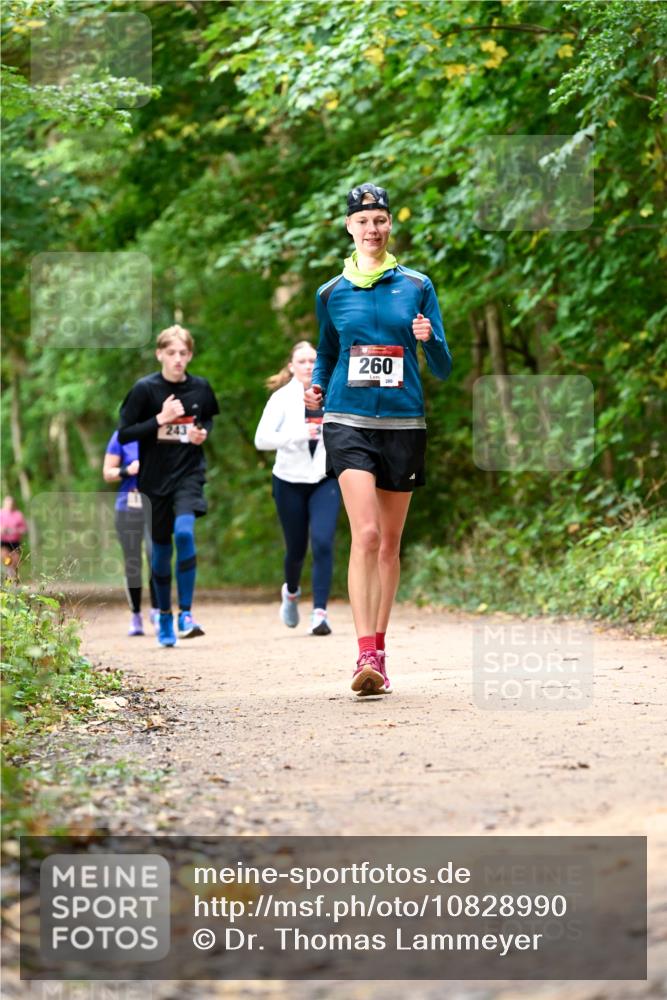11.10.2026 - Bramfelder Halbmarathon 2026 Dr. Thomas Lammeyer http://msf.ph/oto/10828990 11.10.2026 11:08:41 Laufen 243, 260, 280 meine-sportfotos.de