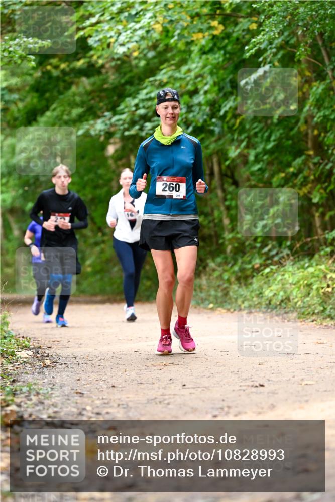 11.10.2026 - Bramfelder Halbmarathon 2026 Dr. Thomas Lammeyer http://msf.ph/oto/10828993 11.10.2026 11:08:41 Laufen 260, 280 meine-sportfotos.de