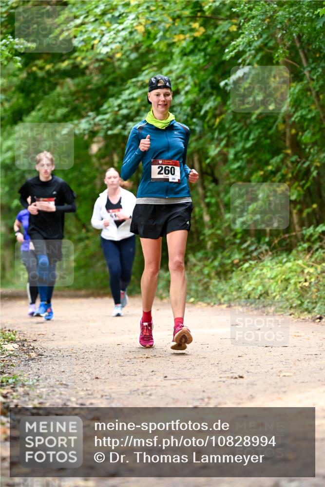 11.10.2026 - Bramfelder Halbmarathon 2026 Dr. Thomas Lammeyer http://msf.ph/oto/10828994 11.10.2026 11:08:42 Laufen 260, 280 meine-sportfotos.de