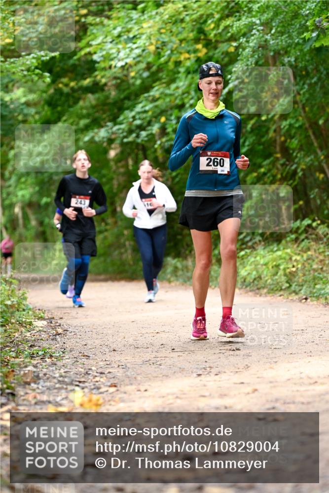 11.10.2026 - Bramfelder Halbmarathon 2026 Dr. Thomas Lammeyer http://msf.ph/oto/10829004 11.10.2026 11:08:42 Laufen 243, 116, 260, 280 meine-sportfotos.de