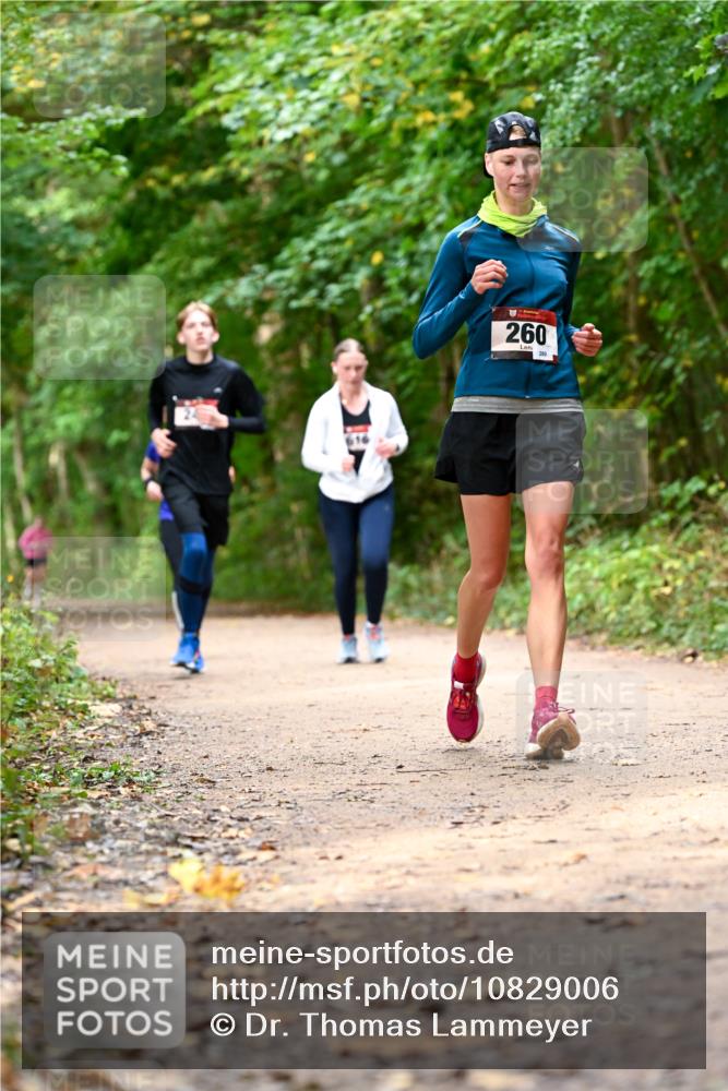 11.10.2026 - Bramfelder Halbmarathon 2026 Dr. Thomas Lammeyer http://msf.ph/oto/10829006 11.10.2026 11:08:42 Laufen 260, 280 meine-sportfotos.de