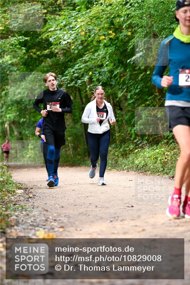 11.10.2026 - Bramfelder Halbmarathon 2026 Dr. Thomas Lammeyer http://msf.ph/oto/10829008 11.10.2026 11:08:43 Laufen 16, 2 meine-sportfotos.de