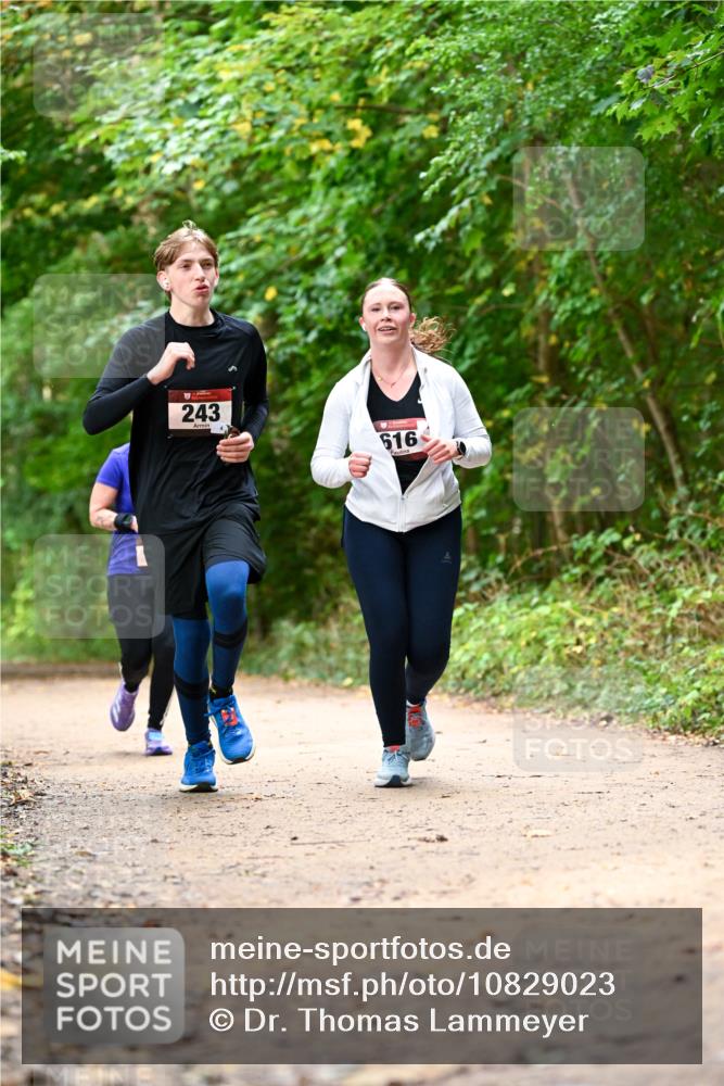 11.10.2026 - Bramfelder Halbmarathon 2026 Dr. Thomas Lammeyer http://msf.ph/oto/10829023 11.10.2026 11:08:44 Laufen 243, 616 meine-sportfotos.de