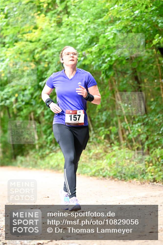 11.10.2026 - Bramfelder Halbmarathon 2026 Dr. Thomas Lammeyer http://msf.ph/oto/10829056 11.10.2026 11:08:47 Laufen 290, 157 meine-sportfotos.de