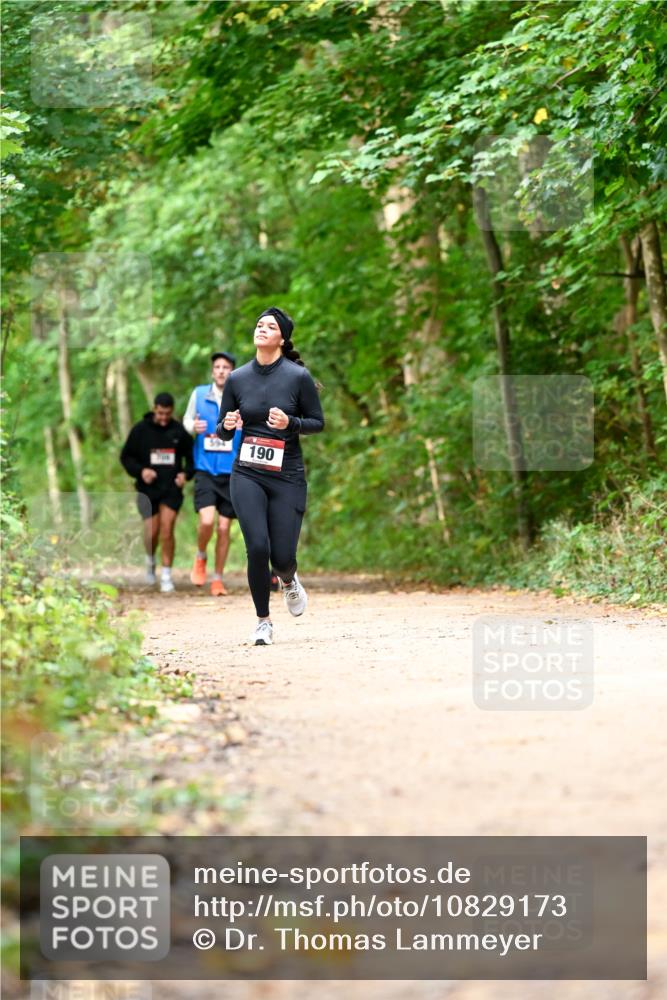 11.10.2026 - Bramfelder Halbmarathon 2026 Dr. Thomas Lammeyer http://msf.ph/oto/10829173 11.10.2026 11:09:04 Laufen 594, 190 meine-sportfotos.de