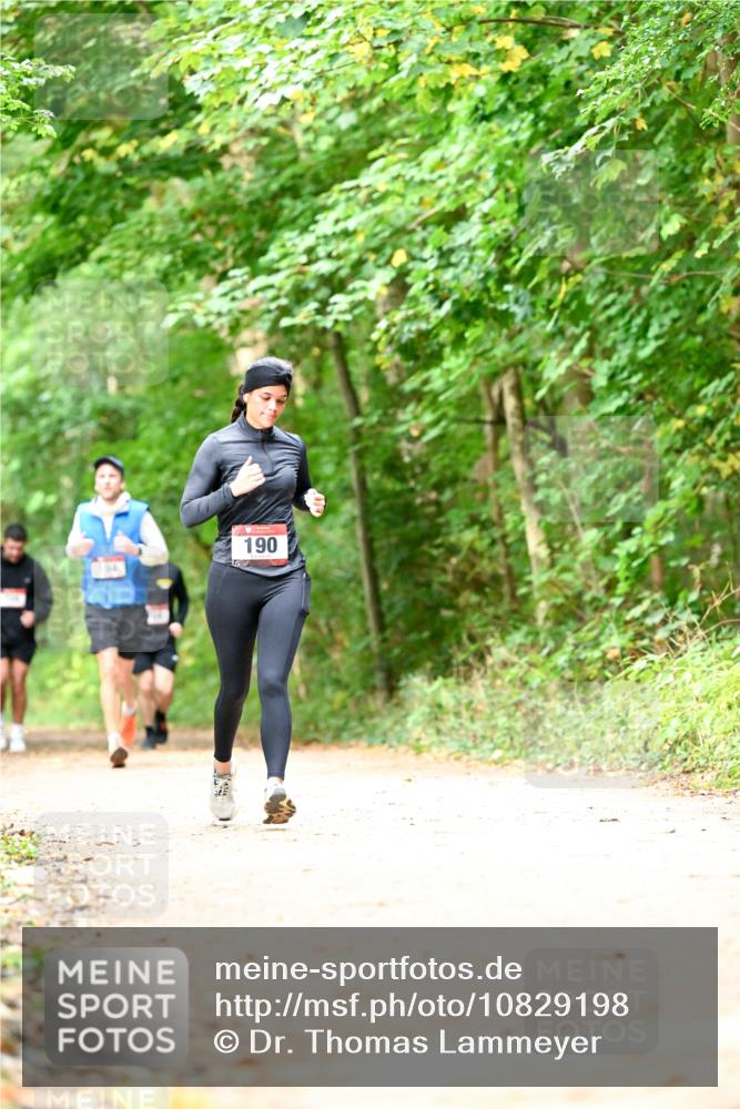 11.10.2026 - Bramfelder Halbmarathon 2026 Dr. Thomas Lammeyer http://msf.ph/oto/10829198 11.10.2026 11:09:06 Laufen 190, 554 meine-sportfotos.de