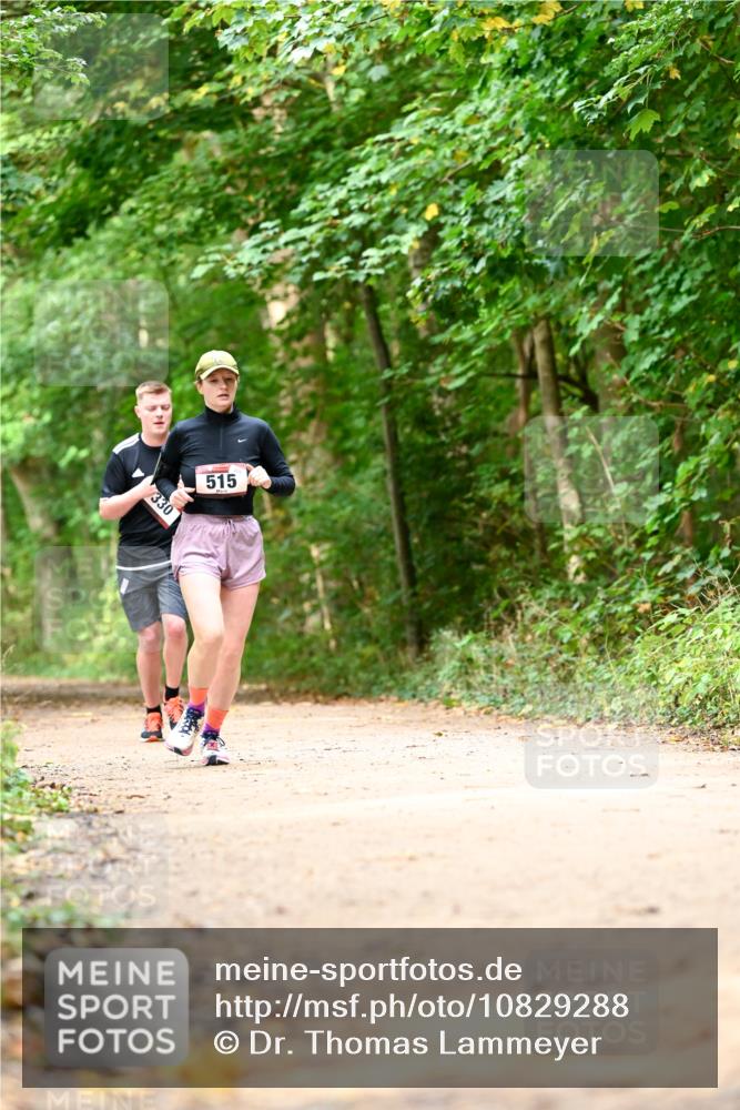 11.10.2026 - Bramfelder Halbmarathon 2026 Dr. Thomas Lammeyer http://msf.ph/oto/10829288 11.10.2026 11:09:36 Laufen 330, 515 meine-sportfotos.de