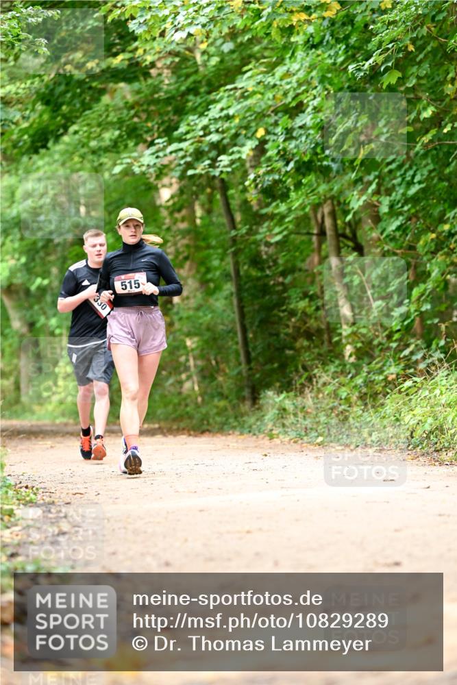 11.10.2026 - Bramfelder Halbmarathon 2026 Dr. Thomas Lammeyer http://msf.ph/oto/10829289 11.10.2026 11:09:36 Laufen 330, 515 meine-sportfotos.de