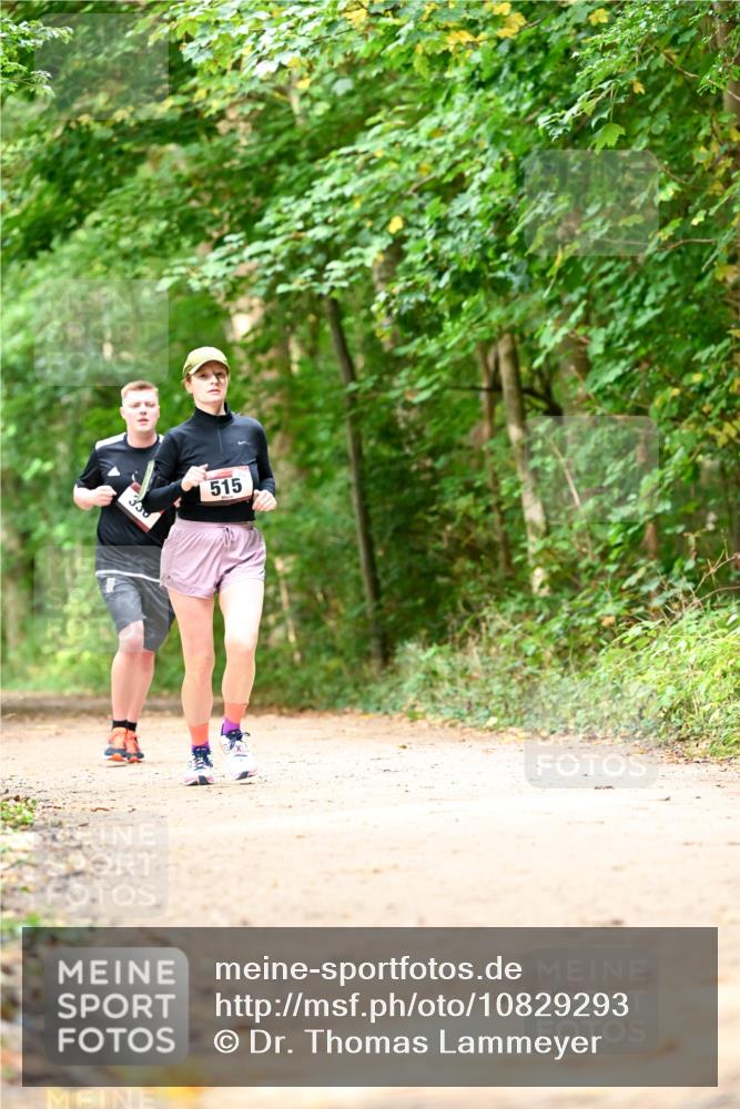 11.10.2026 - Bramfelder Halbmarathon 2026 Dr. Thomas Lammeyer http://msf.ph/oto/10829293 11.10.2026 11:09:36 Laufen 35, 515 meine-sportfotos.de
