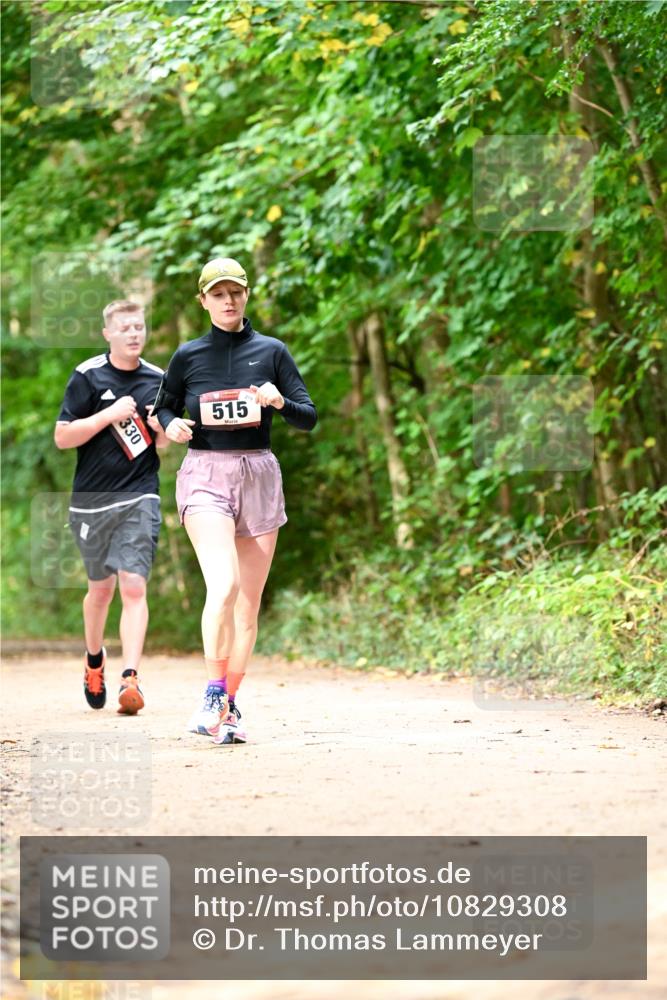 11.10.2026 - Bramfelder Halbmarathon 2026 Dr. Thomas Lammeyer http://msf.ph/oto/10829308 11.10.2026 11:09:37 Laufen 330, 515 meine-sportfotos.de